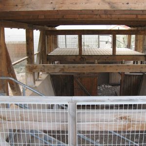 בורהבילויים