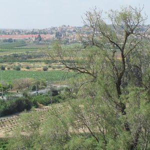Gedera north view from Katra