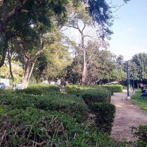 Gan Billu Gedera