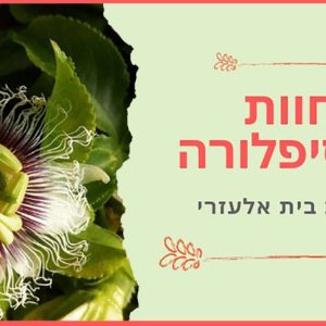 The passion fruit farm