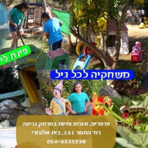 The Butterfly Farm